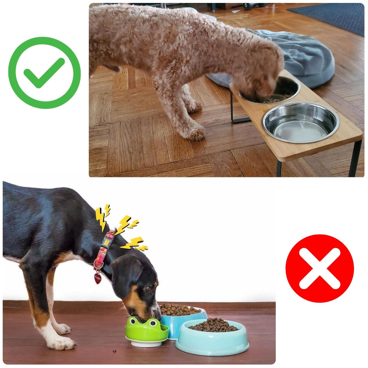 hondenvoerbak bamboe verhoogd met twee glimmende roestvrijstalen bakjes